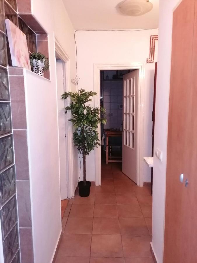 River View, In City Center Apartment Bucarest Exterior foto