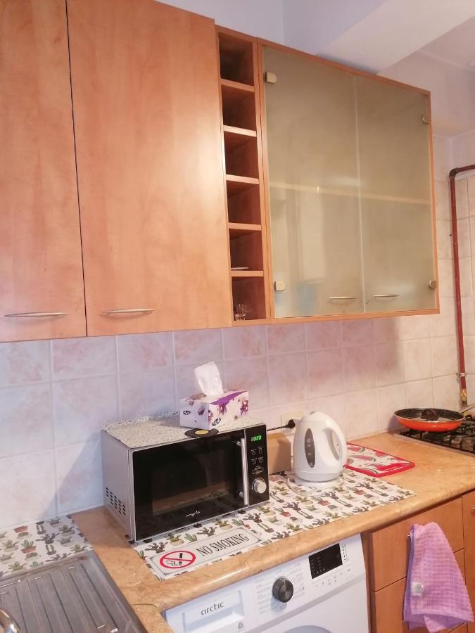 River View, In City Center Apartment Bucarest Exterior foto